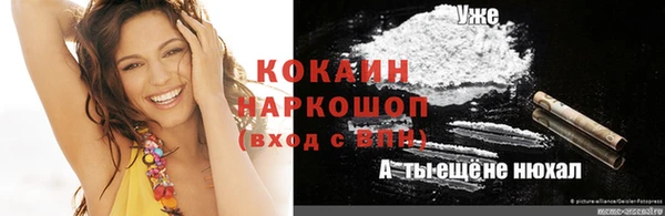 МДПВ Вяземский