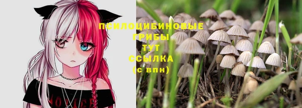 крисы Волоколамск