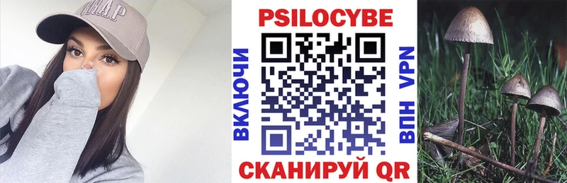 Галлюциногенные грибы Magic Shrooms  хочу   Глазов 